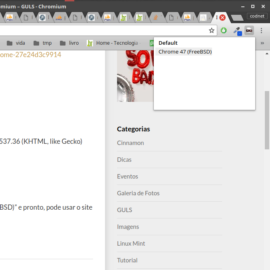 Itaú Linux Chrome ou Chromium